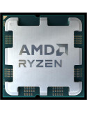 AMD Ryzen 7 7700 Tray | DOTIRI