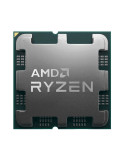 AMD Ryzen 7 7800X3D Tray | DOTIRI
