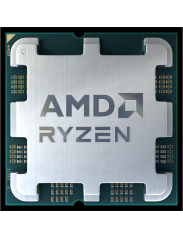 AMD Ryzen 5 8600G Tray