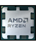 AMD Ryzen 5 8600G Tray