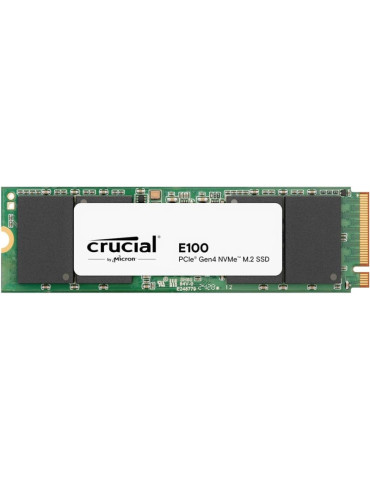 CRUCIAL E100 1T Gen4 2280