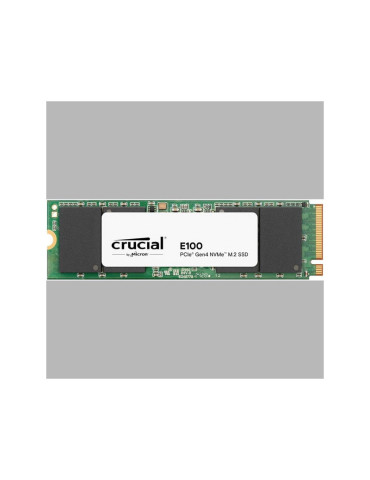 CRUCIAL E100 1T Gen4 2280 Tray