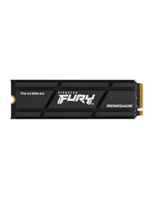 Kingston Technology 4000G RENEGADE PCIe 4.0 NVMe | DOTIRI