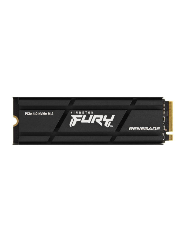 Kingston Technology 2000G RENEGADE PCIe 4.0 NVMe | DOTIRI