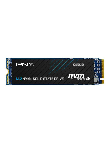PNY CS1030 500Go