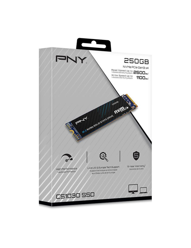 PNY CS1030 M.2 GEN3 250GB | DOTIRI