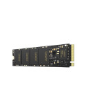 Lexar NM620 256Go