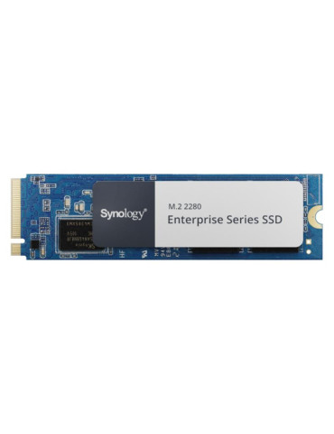 SYNOLOGY SNV5420-400G