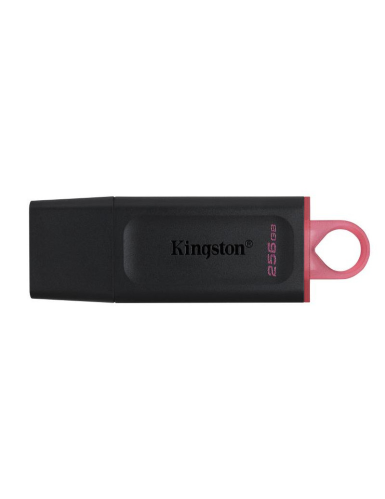 KINGSTON 256G USB 3.2 Gen 1 *DTX/256GB | DOTIRI