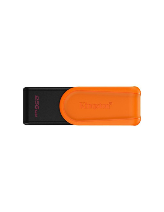 Kingston Technology DataTraveler 256GB Portable | DOTIRI