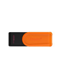 Kingston Technology DataTraveler 256GB Portable | DOTIRI