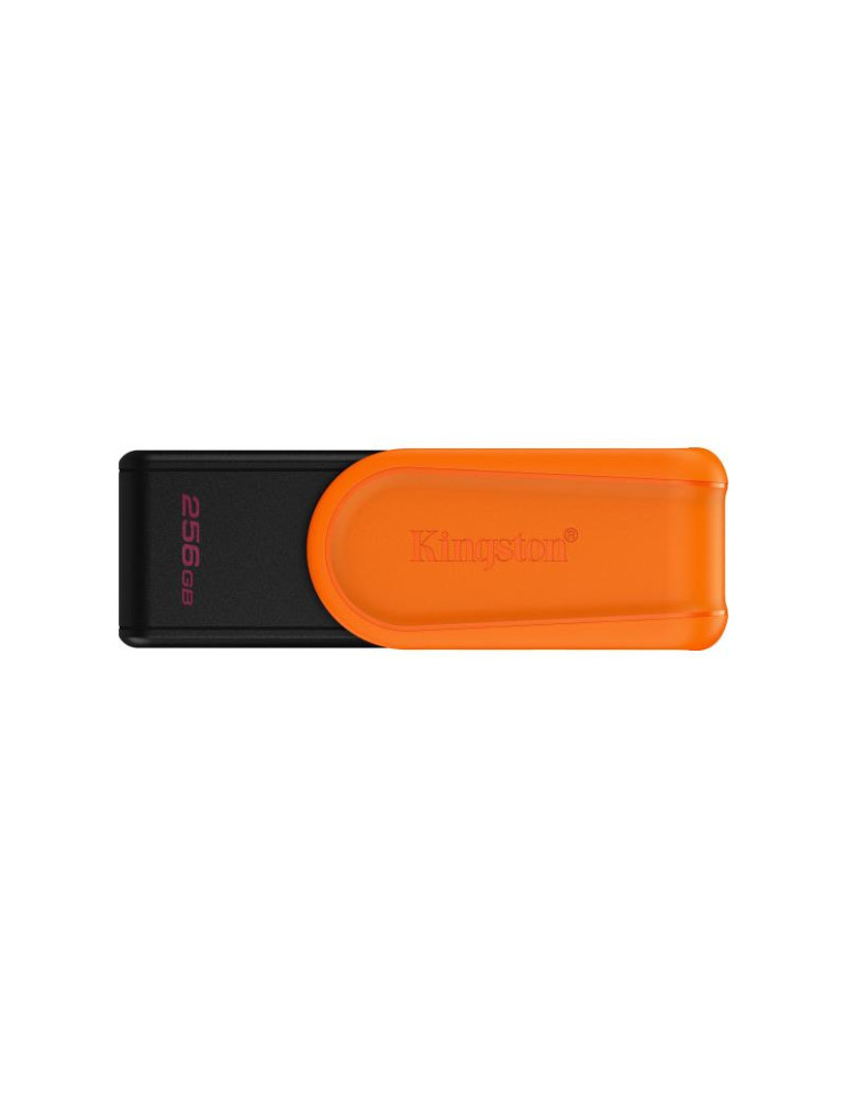 Kingston Technology DataTraveler 256GB Portable | DOTIRI