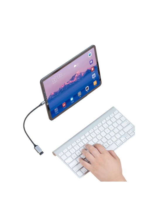 VENTION Câble OTG USB-C Mâle vers USB-A Femelle 0,15m (Gris)