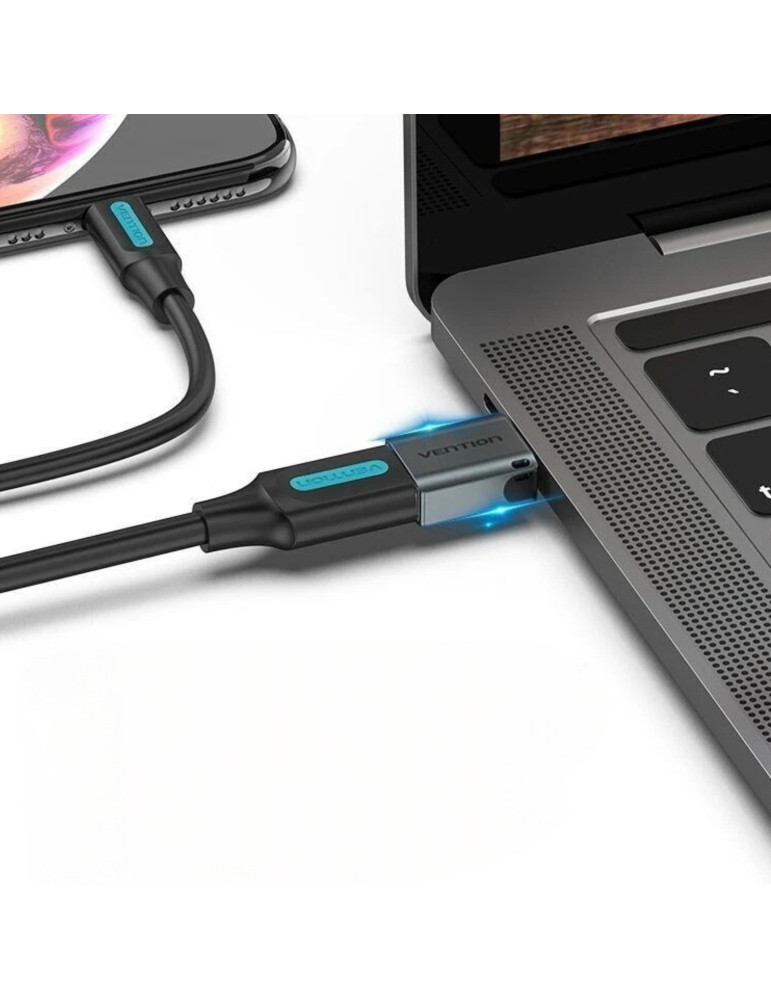 VENTION Adaptateur OTG USB-C Mâle vers USB-A Femelle (Gris)