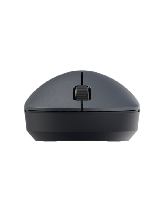 Xiaomi Souris sans Fil Lite2 (Noir) | DOTIRI
