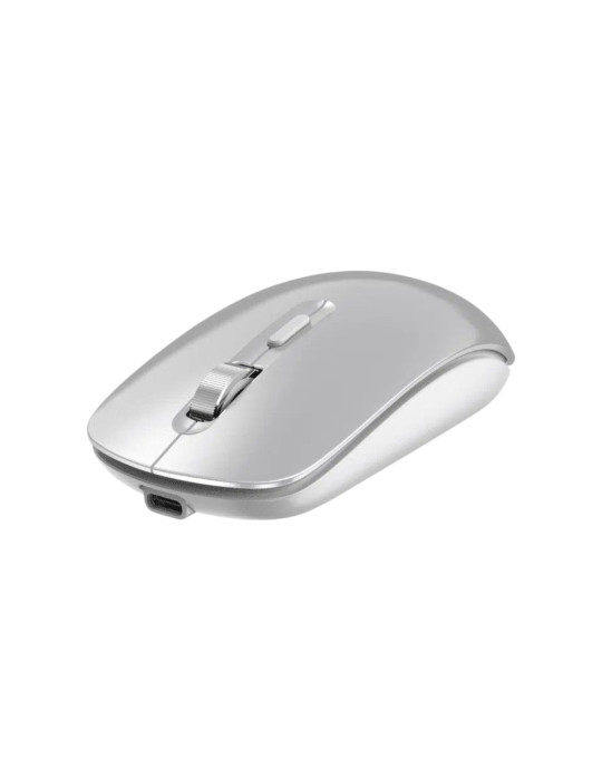 DEVIA Souris Bluetooth Double Mode (Gris) | DOTIRI