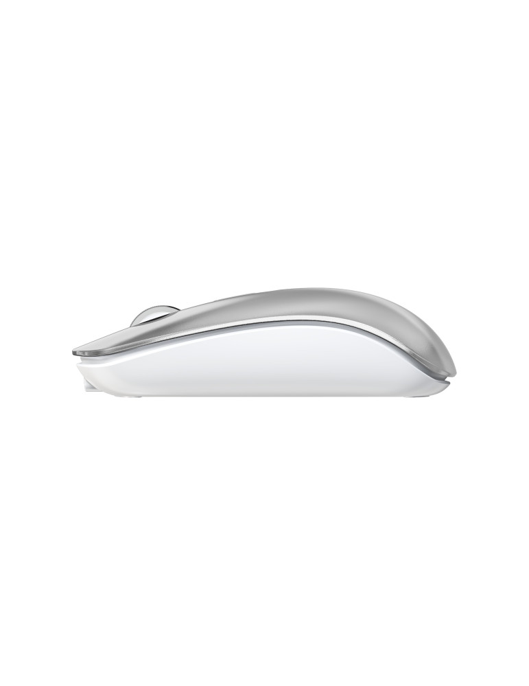 DEVIA Souris Bluetooth Double Mode (Gris) | DOTIRI
