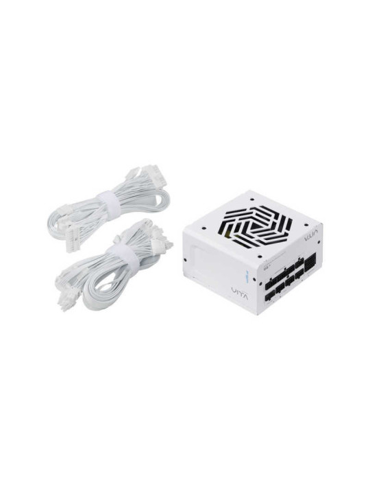 FSP (FORTRON) Alimentation 1000W  80+Gold | DOTIRI