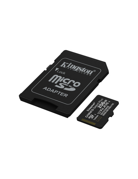 KINGSTON Canvas Select Plus Gen3 MicroSD 256Go | DOTIRI