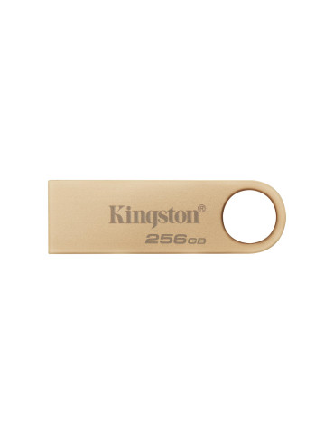 KINGSTON Clé USB DTSE9 G3 256Go