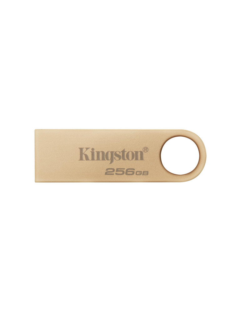 KINGSTON Clé USB DTSE9 G3 256Go | DOTIRI