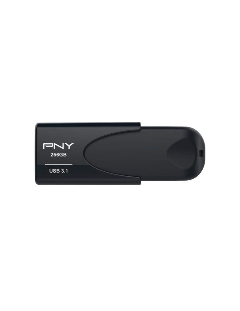 PNY Clé USB Attaché 4 256 Go | DOTIRI