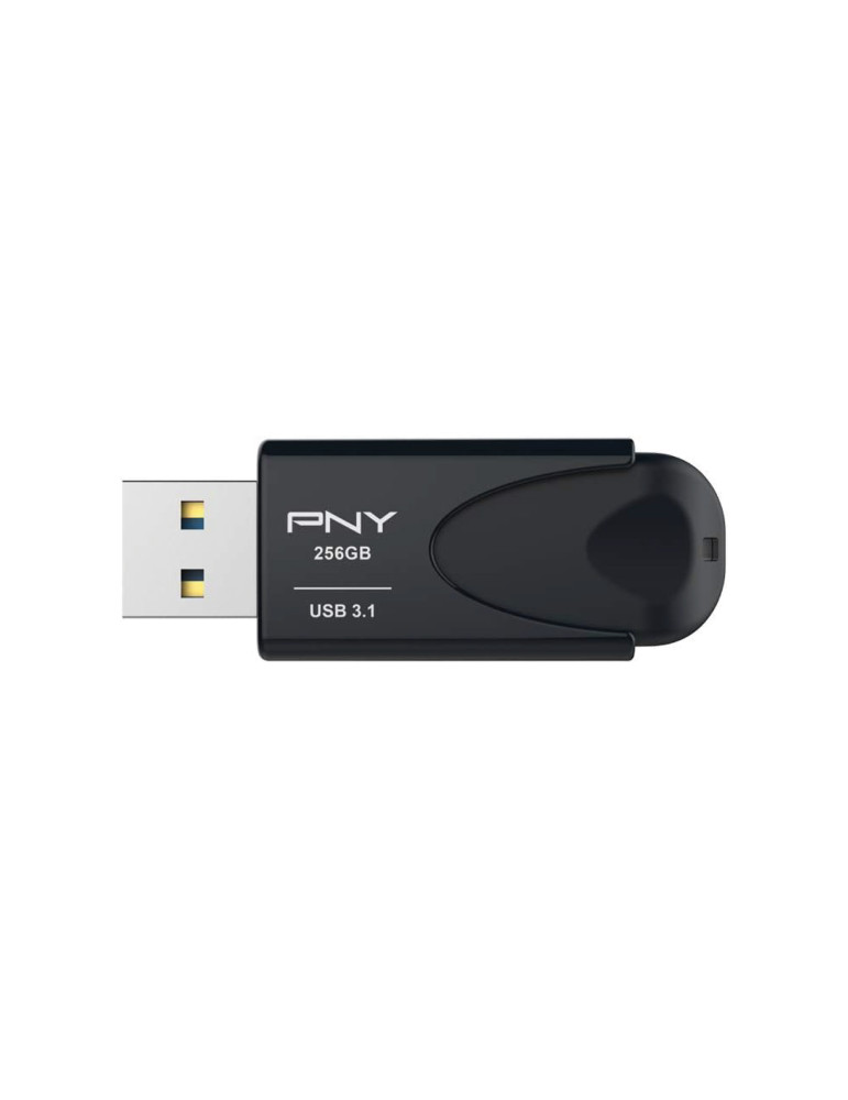 PNY Clé USB Attaché 4 256 Go | DOTIRI