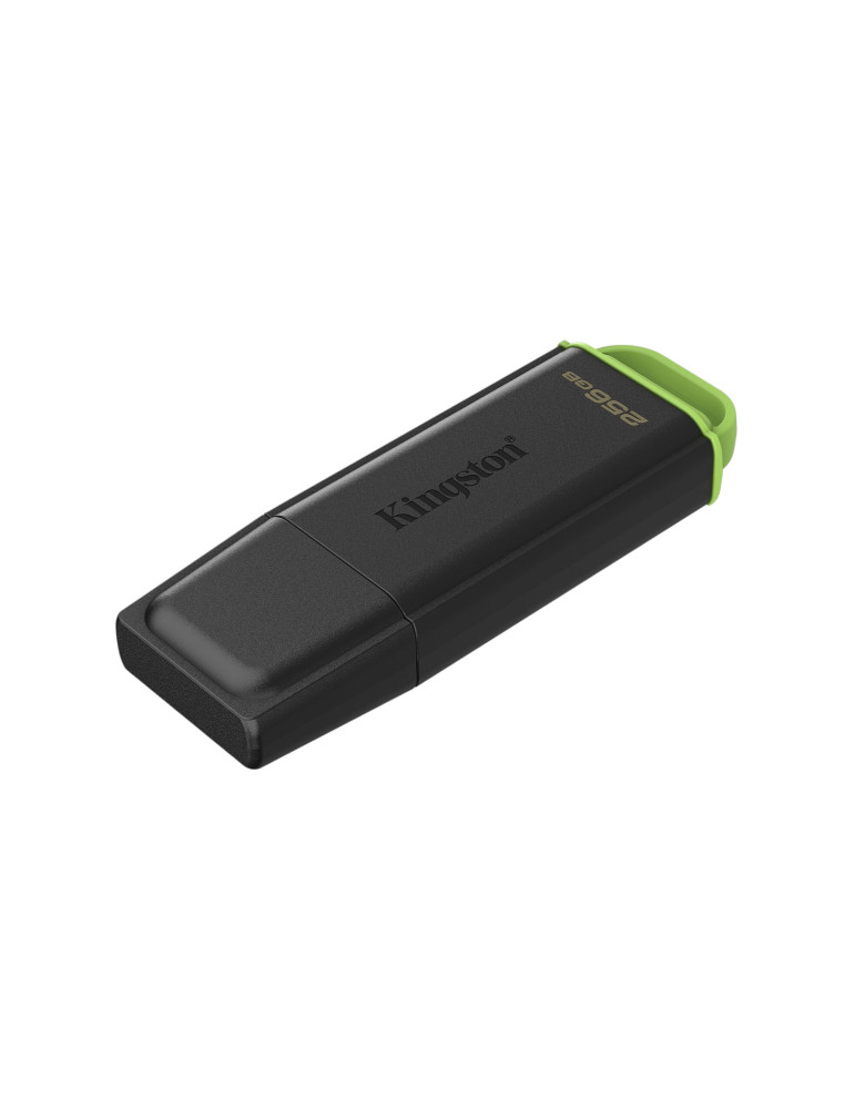 KINGSTON Clé USB Exodia G2 256Go | DOTIRI