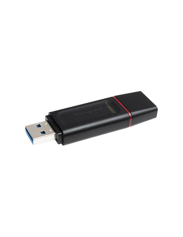 KINGSTON 256G USB 3.2 Gen 1 *DTX/256GB | DOTIRI