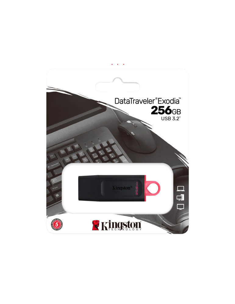 KINGSTON 256G USB 3.2 Gen 1 *DTX/256GB | DOTIRI