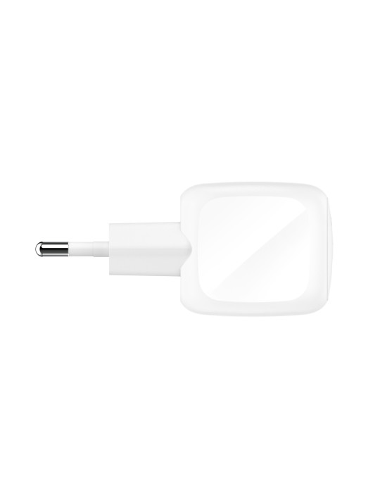 BELKIN Chargeur Secteur 45W + Câble USB-C vers USB-C 1m (PVC) (Blanc)