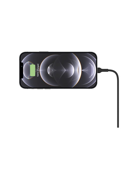 BELKIN Support Voiture Magsafe (10W) (avec chargeur & câble)