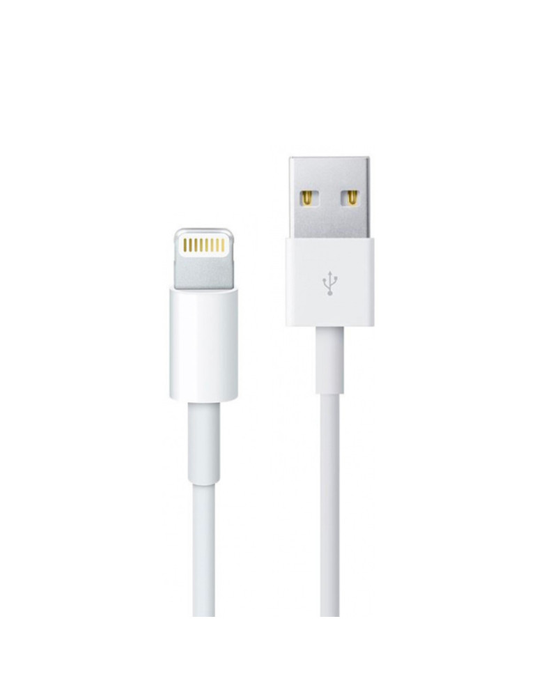 APPLE Câble Lightning 1m Blanc | DOTIRI