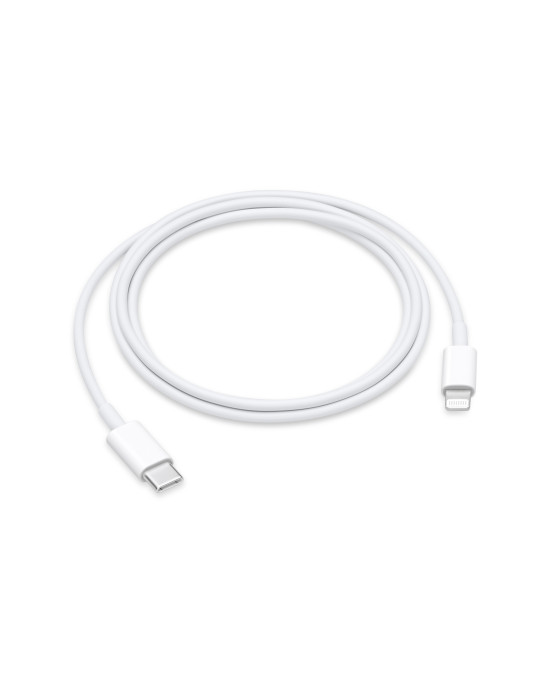 APPLE Câble USB-C vers Lightning 1m Blanc | DOTIRI