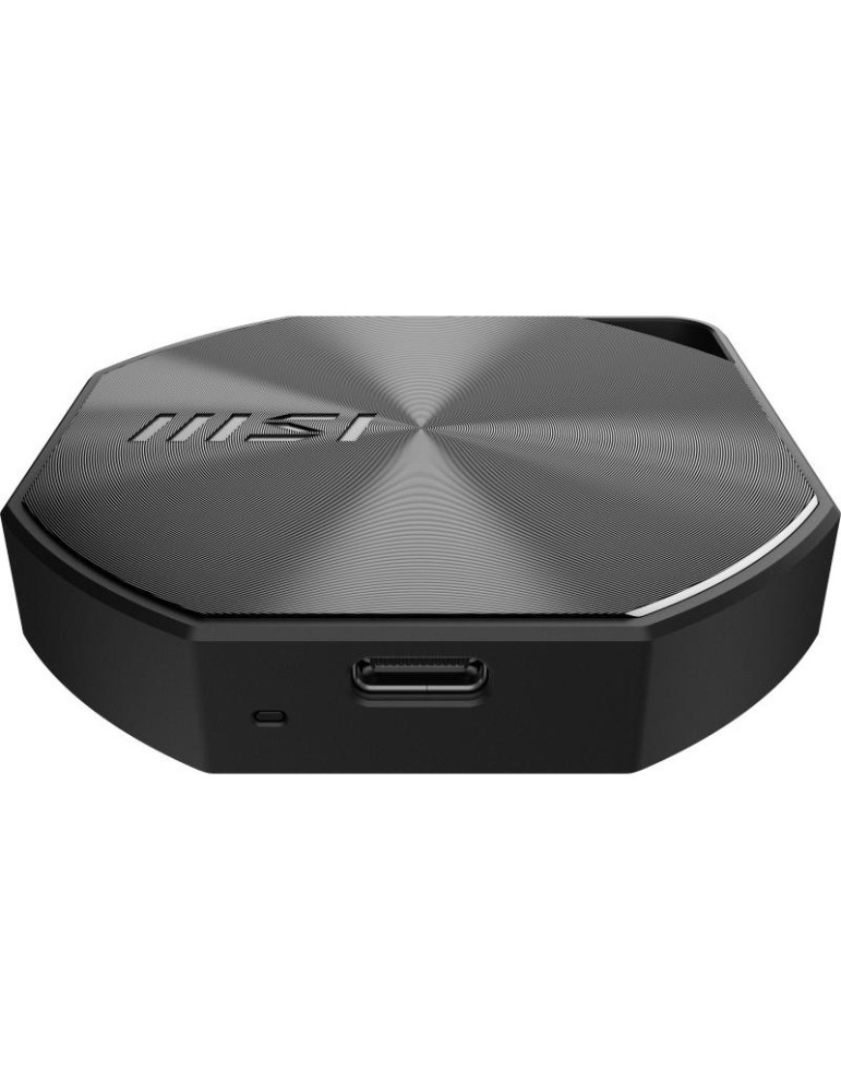 MSI SSD DATAMAG 20Gbps 1TB