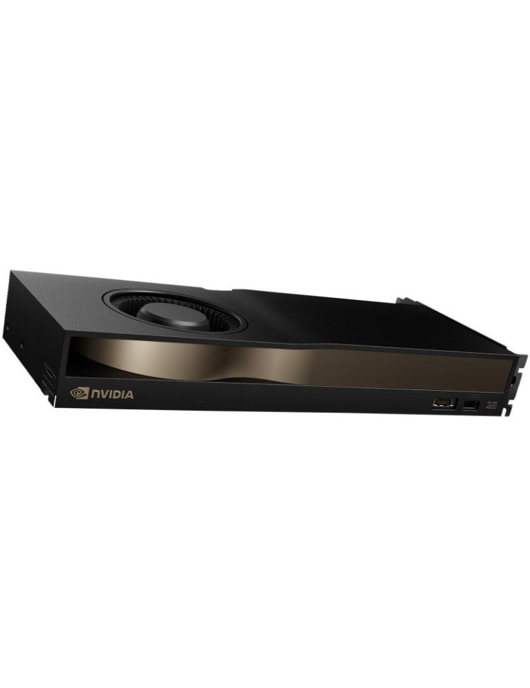 Nvidia RTX PRO 4500 Blackwell 32 Go GDDR7