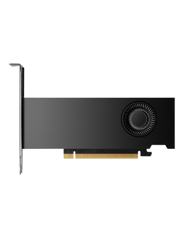 PNY RTX2000 Ada NVIDIA RTX 2000 Ada 16 Go GDDR6