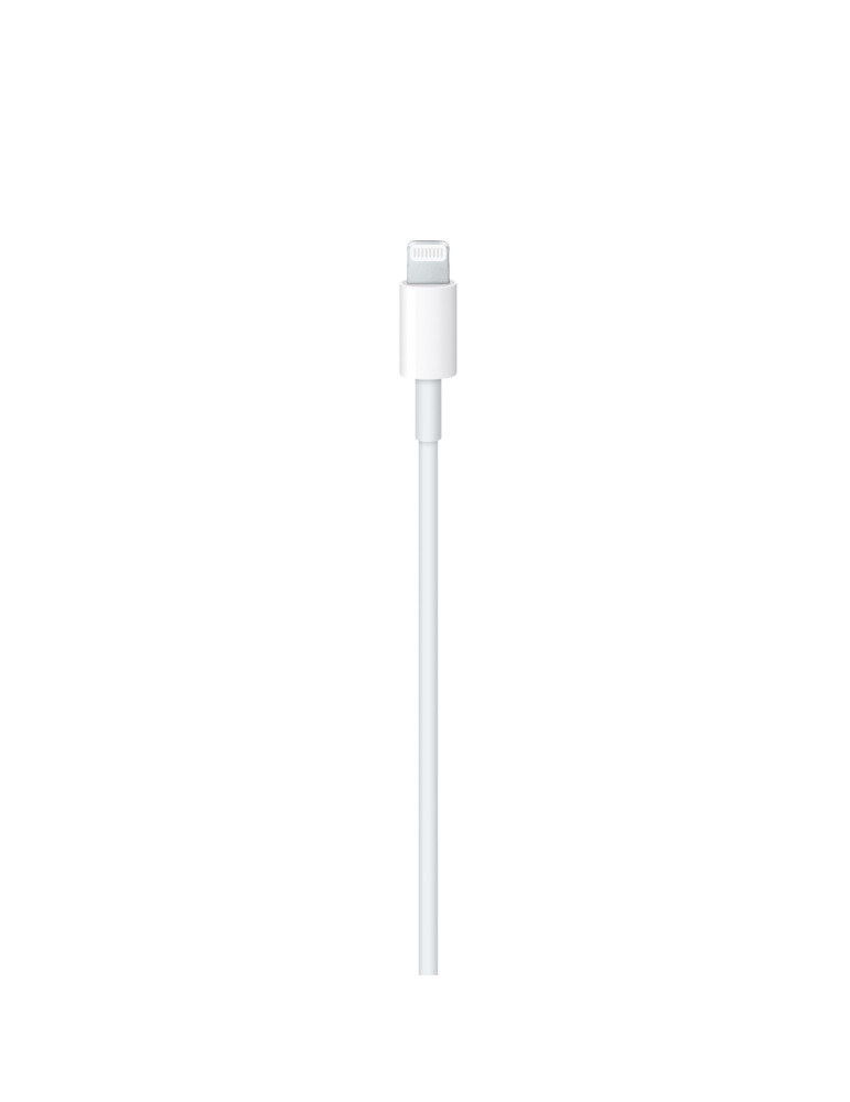 APPLE Câble USB-C vers Lightning 2m (Blanc) (Bulk)