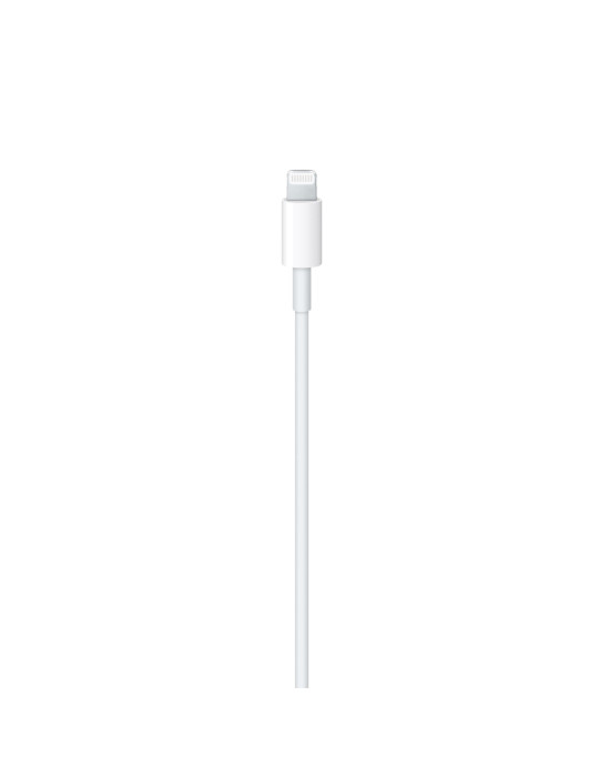 APPLE Câble USB-C vers Lightning 2m (Blanc) (Bulk)