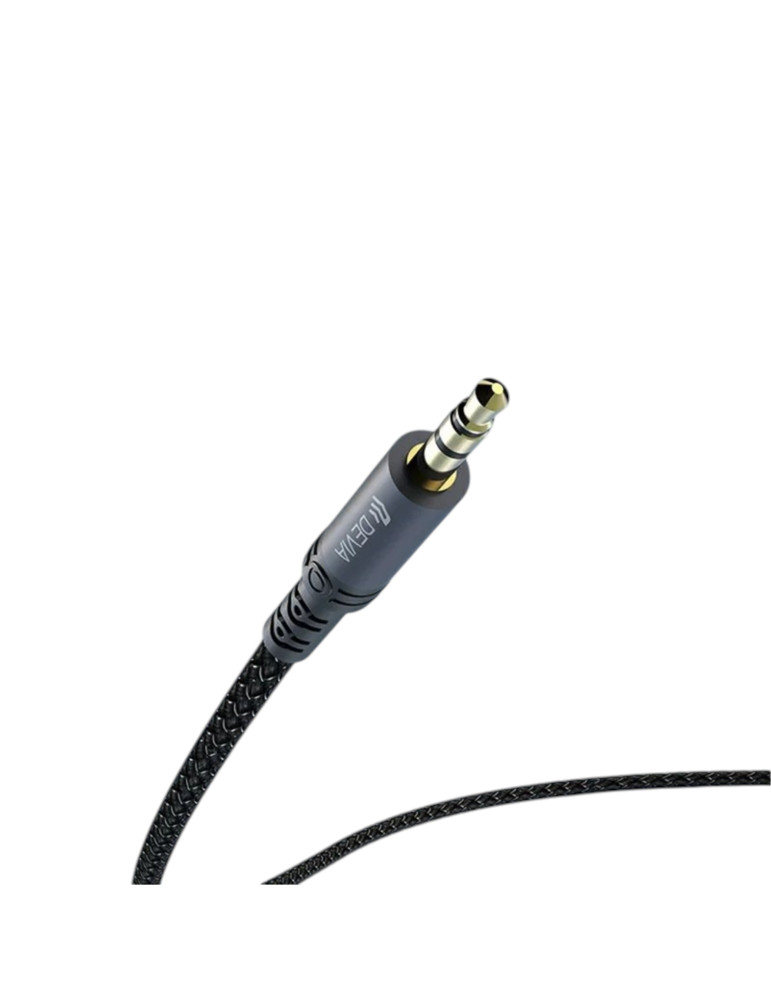 DEVIA Câble USB-C Vers Jack 3,5mm 1m (Noir) | DOTIRI