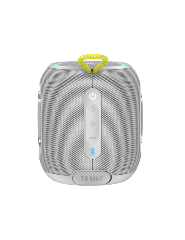 TRONSMART T8 Mini Enceinte Bluetooth (Gris) | DOTIRI